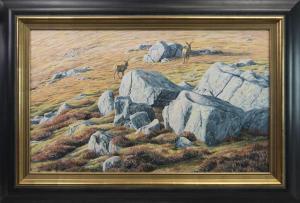 RIDLEY Martin 1967,"BLUE BOULDERS" RED DEER STAGS,McTear's GB 2021-01-24