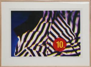 RIEGEL Margaret,Visual Chemistry - Cover #10,1989,Ro Gallery US 2010-12-09