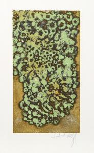 RIGAL Jacques Jean Joachim 1926-1997,Les Lichens from the Herbier Portfolio,Ro Gallery US 2023-01-01