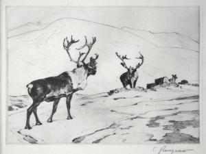RINGIUS Carl 1879-1950,The Stranger,Jackson Hole US 2014-09-13