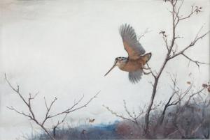 RIPLEY Aiden Lassell 1896-1969,Lone Woodcock,Copley US 2024-02-23