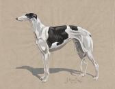 RIVET J 1900-1900,Black and White Greyhound,1970,Bloomsbury London GB 2011-06-22