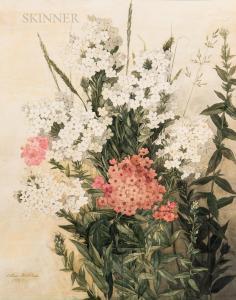 ROBBINS Ellen 1828-1905,Pink and White Phlox,1888,Skinner US 2021-05-21