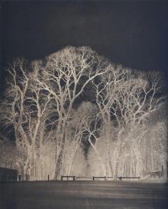 ROBERT Louis Remy,Étude d'arbres, parc du château de Saint-Cloud,1852,Yann Le Mouel 2024-03-22