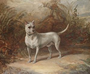 ROBERTSON Ian 1900-1900,A Manchester Terrier in a landscape,Bonhams GB 2005-01-25