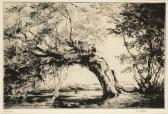 ROBINS Susan P.B 1849,an old willow,1913,Sotheby's GB 2003-12-01