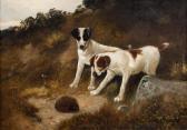 ROBINSON HALL HENRY,A cautious approach - two terriers and a hedgehog,1888,Bonhams 2014-11-05