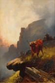 ROBINSON HALL HENRY,Highland cattle in a rocky mountain landscape at s,Rosebery's 2016-09-07