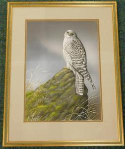 ROBINSON Peter 1966,Gyr Falcon,Golding Young & Mawer GB 2017-12-13