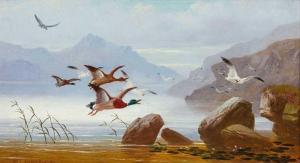 ROE Robert Henry 1822-1905,Landschaft in Schottland mit auffliegenden Enten u,1883,Zeller 2014-09-18