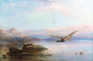 ROE Robert Henry 1793-1880,Wild Birds in Flight,1855,Cottone US 2021-06-17