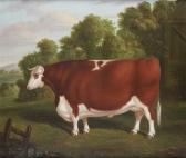ROEBUCK Thomas 1830-1860,A portrait of a prize bull,Bonhams GB 2011-01-20