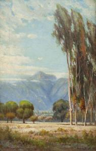 ROGERS Charles Albert 1848-1918,Sycamore trees with distant mountain ra,1903,John Moran Auctioneers 2019-01-13