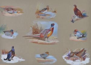 ROGERS,Vignettes of wild birds,Burstow and Hewett GB 2011-12-14