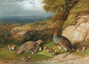 ROLFE F 1800-1800,Partridge with their chicks in a landscape,1871,Christie's GB 1999-05-28