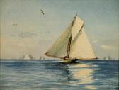 ROLPH M,A yacht at sea,1888,Halls GB 2013-02-27