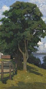 RONQUIST Charlotta, Lotten 1864-1912,Eken vid strand,Stockholms Auktionsverket SE 2017-06-06