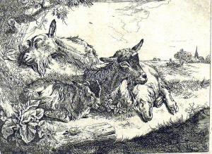 ROOS Johan Heinrich 1631-1685,Ruhende Ziegen und Schaf unter einem Baum,Reibnitz DE 2014-05-09
