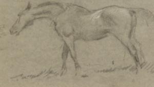 ROPE George Thomas 1845-1929,A study of a horse,John Nicholson GB 2021-08-11