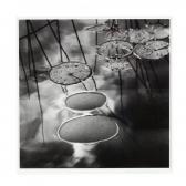 ROSENTHAL Karin 1945,Lily Pads,1991,Leland Little US 2020-03-13