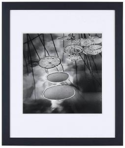 ROSENTHAL Karin 1945,Lily Pads,1991,Brunk Auctions US 2022-10-14