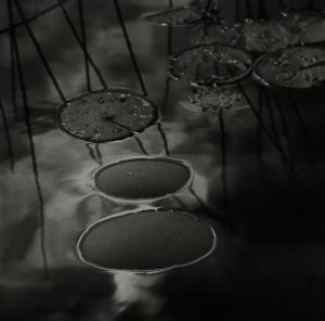 ROSENTHAL Karin 1945,Lily Pads,1991,Clars Auction Gallery US 2020-10-10