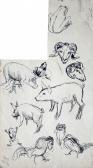 ROSENTHALS Janis 1866-1916,Pet sketch,Antonija LV 2018-09-30
