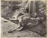ROSS Horatio,Deer Stalking in the Scottish Highlands I,1856-59,Binoche et Giquello 2010-06-25