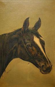 ROSS Hugh 1800-1873,A Horse's Head,Keys GB 2014-02-07