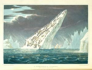 ROSS J.,A Voyage of Discovery ...,1819,William Doyle US 2022-06-15