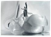 ROSS Michael 1955,onions,Bonhams GB 2005-11-13