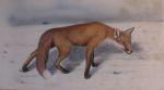 ROSS Michael 1955,study of a vixen in snow,1975,Dreweatt-Neate GB 2003-10-29