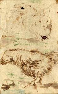 ROSSANO 1800-1900,Studio di coniglio e gallina,Gonnelli IT 2015-12-11