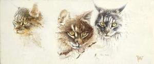 ROSSI Georges 1900-1900,Etude de têtes de chats,Coutau-Begarie FR 2008-12-01