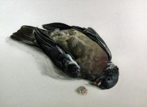 ROST Diane 1900-1900,Study of a dead pigeon,Canterbury Auction GB 2012-02-14