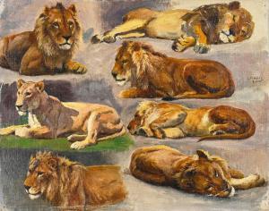 ROTIG Georges Frederic 1873-1961,Etude de lionnes et lions,1913,Coutau-Begarie FR 2024-04-17