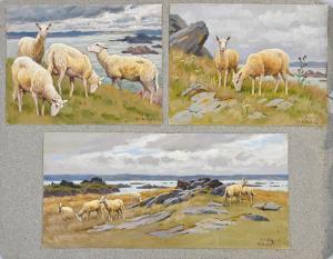 ROTIG Georges Frederic 1873-1961,Les moutons de Bréhat Trois études de moutons ,1930,Coutau-Begarie 2024-04-17
