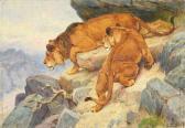 ROTIG Georges Frederic 1873-1961,Lionne et lion aux aguets sur les rochers,Coutau-Begarie 2023-06-03