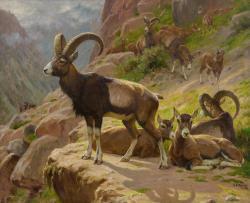 ROTIG Georges Frederic 1873-1961,Mountain Goats,Christie's GB 2023-10-20