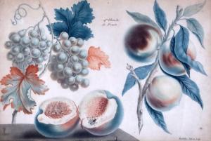 ROUBILLAC Louis François,A set of four framed coloured engravings of fruits,Gorringes 2019-10-01