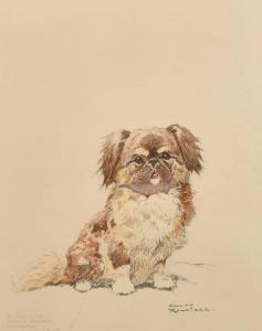 ROUNTREE Harry 1878-1950,a study of a small dog,John Nicholson GB 2023-12-20