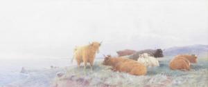 ROWDEN Thomas, Tom 1842-1926,Cattle resting on the clifftop (probably Corn,1894,Lacy Scott & Knight 2023-03-18