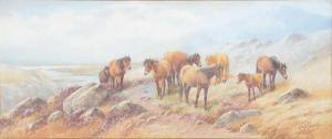 ROWDEN Thomas, Tom 1842-1926,Ponies in moorland landscape,Gilding's GB 2023-02-07