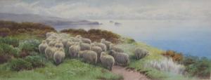 ROWDEN Thomas, Tom 1842-1926,Sheep grazing on the Devon Coast near Berry Head,Brightwells 2018-07-24