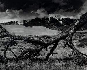 RUBIN Michael 1943,Fallen Pine, Mount Blanca, The Great Dunes of Colorado,1978,Hindman US 2021-06-17