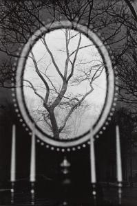 RUBINSTEIN Eva 1933,Tree in the mirror, New York,1967,Desa Unicum PL 2024-04-09