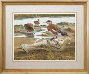 RUDISILL A.J. 1934,three widgeon with great feather detail,Guyette & Schmidt US 2024-02-10