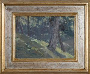 RUDOLPHI Johannes 1877-1950,Sonnenbeschienener Waldhang,1907,DAWO Auktionen DE 2021-05-28