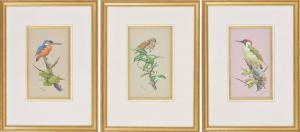 RUMARY Martin,study of a kingfisher upon a branch,Gardiner Houlgate GB 2021-07-29