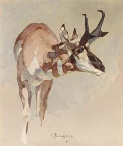 RUNGIUS Carl Clemens Moritz 1869-1959,Missouri Prong-Horn Antelope,1920,Christie's GB 2003-04-03